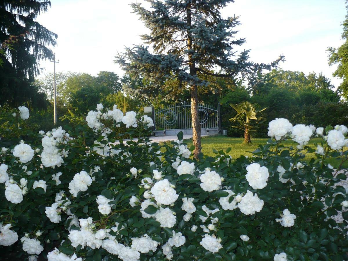 L'Albero Della Gioia Villanova sull'Arda Ngoại thất bức ảnh